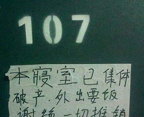 钻研是什么意思