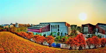 湖北美术学院属于几本大学?