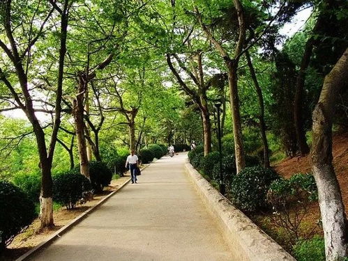 北岭山隧道，北岭山大学在哪