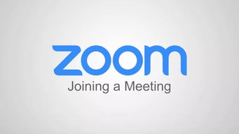zoom是什么动物的名字，zoom是什么键