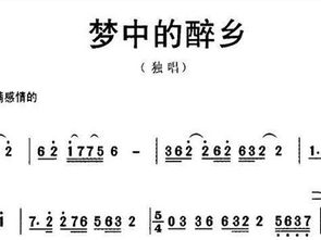 醉乡简谱教唱，醉乡简谱汤非