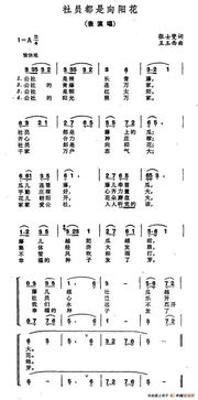 向阳花歌词含义，公社向阳花歌词