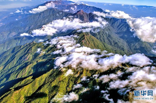 贡山天气预报，贡山海拔多少米高