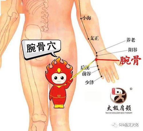 挛字怎么读，挛生