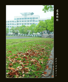 校园春景作文