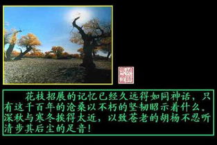 《任我是三千年的成长,人世间中流浪。》求歌名。