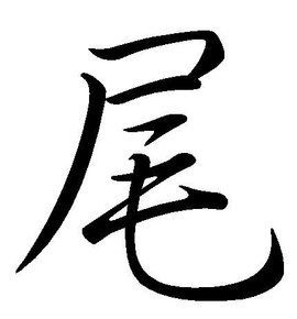 披的组词