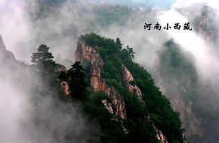 熊耳山在哪里，熊耳山和抱犊崮哪个好玩