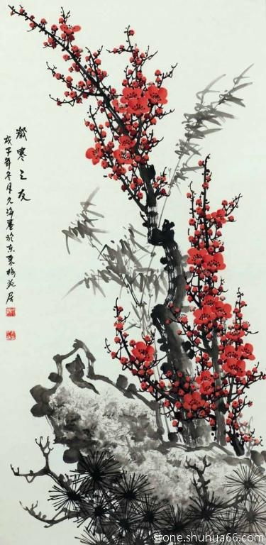 紫叶吊竹梅的养殖方法和注意事项