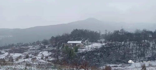 大方什么意思?