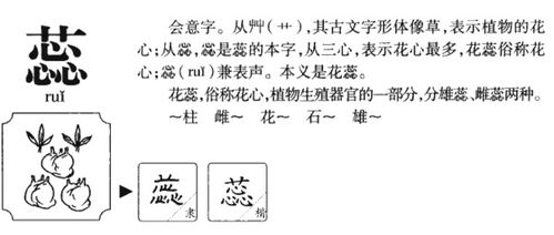 蕊组词拼音，搜组词