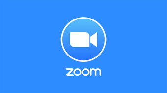 zoom什么意思