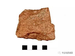 长石砂岩的特征，长石砂岩构造