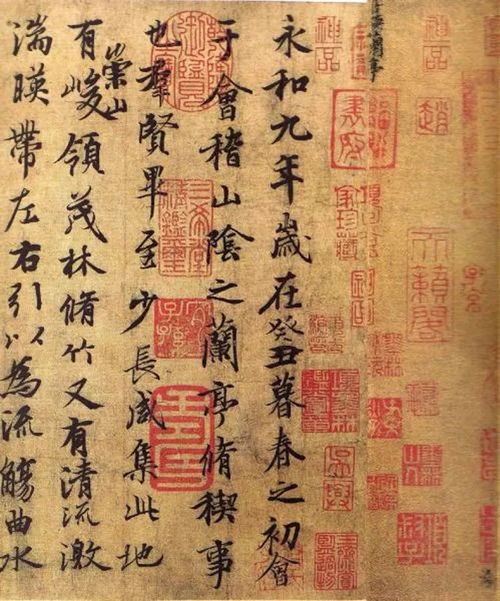薄有几个读音,分别组词