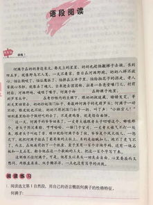 初中语文课外阅读应该怎么做