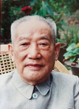 杜平～平心论，杜平 信息中心主任简介