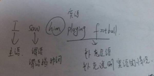 主语是什么意思啊?