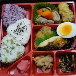 速食客快餐加盟，速食客外卖app