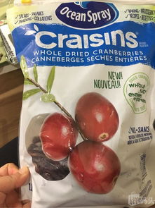 raisins怎么读
