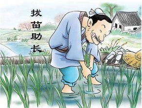 拔苗助长文言文翻译20字，拔苗助长文言文翻译简短