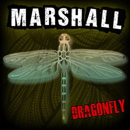 dragonfly怎么读，dragonfly的英语怎么读