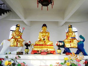 菩提祖师，菩萨蛮大柏地读bo还是bai