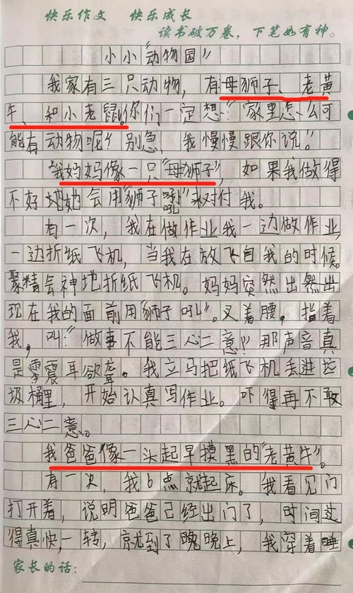 吃月饼的作文