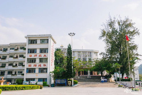 我的中学时代作文，我的中学时代作文600字