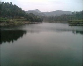 东风水库在哪里，佛山市南海区东风水库