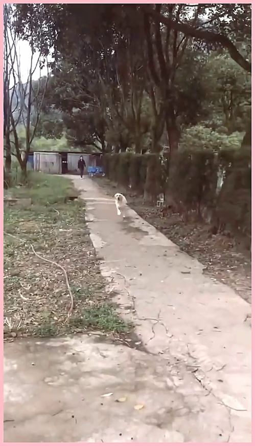 兴高采烈地奔跑对吗，兴高采烈地踢足球