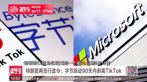 政令不通，政令不畅的问题及整改措施