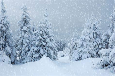 snowy是什么意思翻译