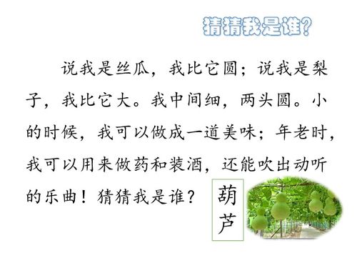 他山之石,可以攻玉——记我校听评课活动