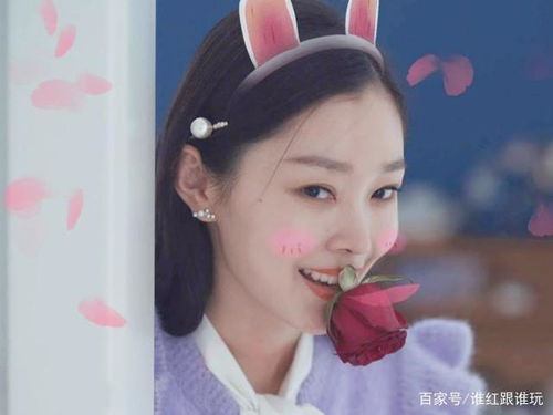 轶的含义是什么
