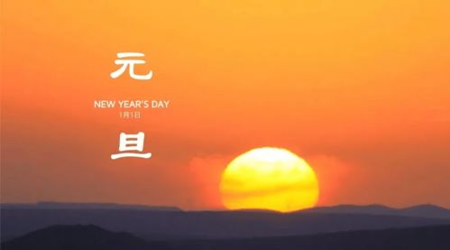 我的亲人作文600字，我的亲人,是2800元从越南买来的新娘