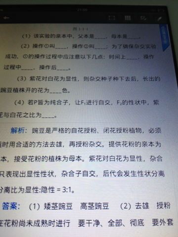 父本母本概念，父本与母本的区别