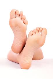 foot是什么意思