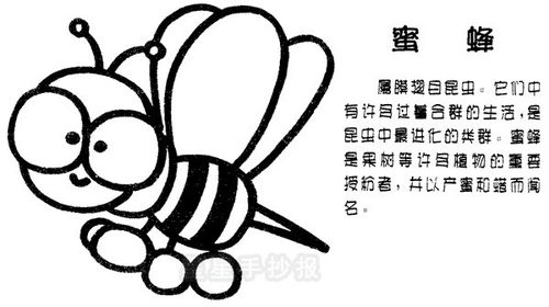 有关蜜蜂的简单知识10字，有关蜜蜂的简单知识大全
