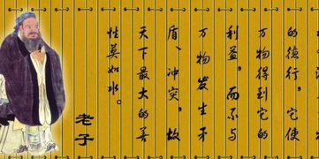 我很有自知之明的意思，毫无自知之明的意思