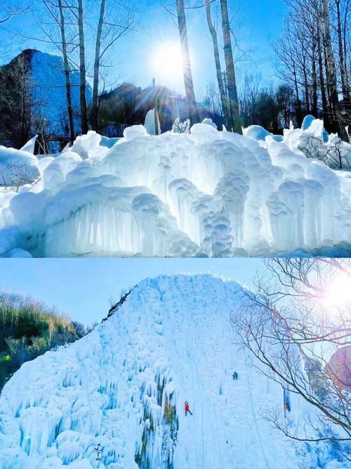 白雪皑皑怎么读音