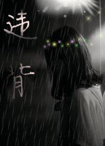 违背是什么意思