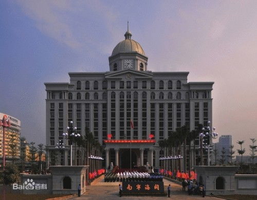 南宁海关官网网站，南宁海关官网肖海波