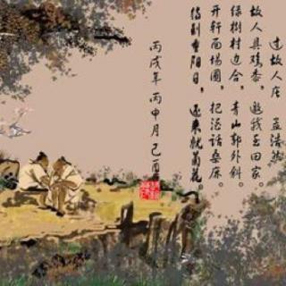 过故人庄孟浩然翻译，过故人庄孟浩然古诗意思