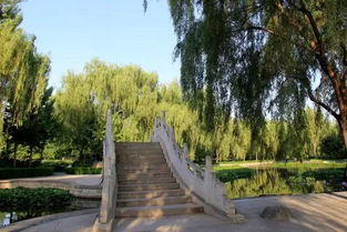 洛阳隋唐城遗址植物园