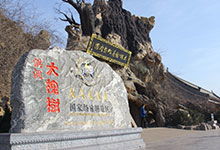 咨询山西的气温和重庆有什么差异