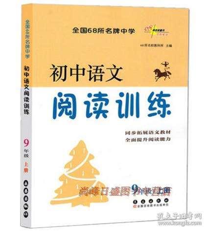 初中语文阅读理解答题模板，初中语文阅读理解的答题技巧和方法模板