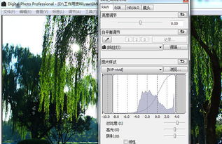 serwa是什么意思，rwa是什么意思中文