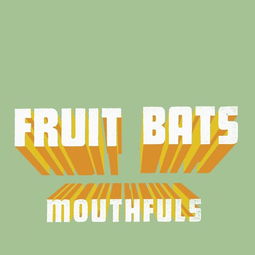 mouthful 是名词还是形容词?