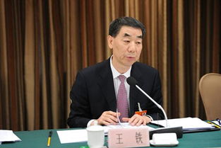 王铁枪的解释王铁枪的解释是什么