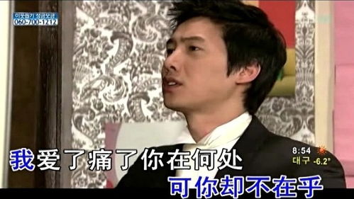 累了醉了就想哭马莉雅唱的歌，累了醉了就想哭歌曲表达什么感情